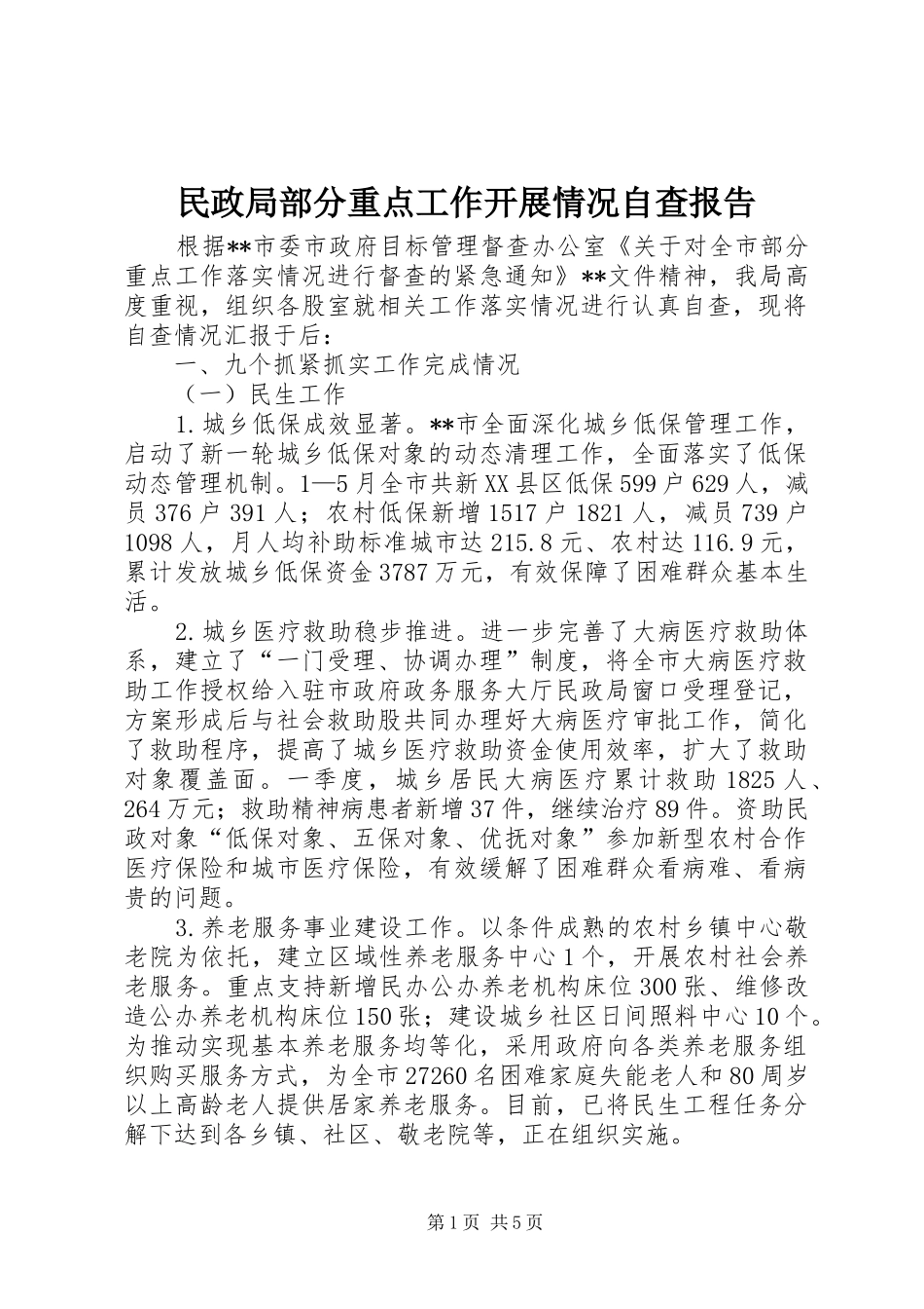 民政局部分重点工作开展情况自查报告_第1页