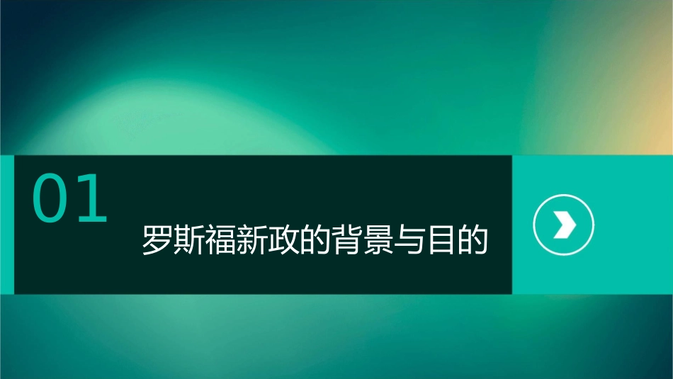 罗斯福新政与当代资本主义( 51页)课件_第3页