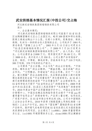 武安烘熔基本情况汇报(中投公司)交占海