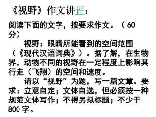 视野作文讲评