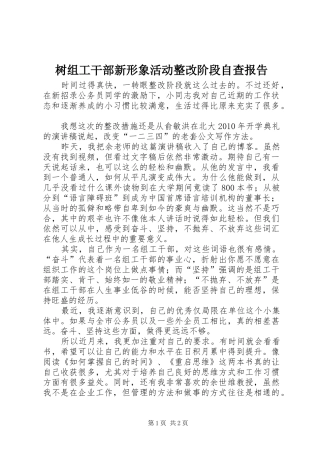 树组工干部新形象活动整改阶段自查报告