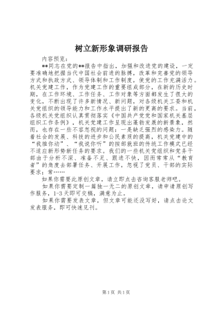 树立新形象调研报告