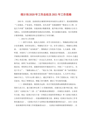 统计局2020年工作总结及2021年工作思路 