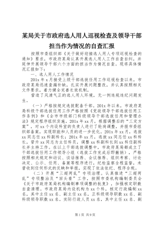 某局关于市政府选人用人巡视检查及领导干部担当作为情况的自查汇报