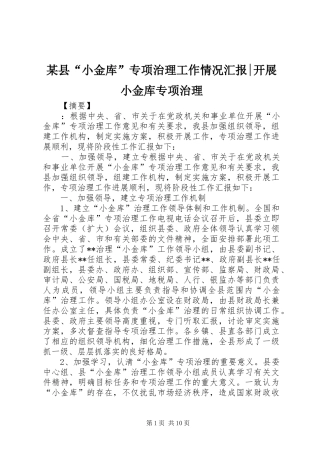某县“小金库”专项治理工作情况汇报-开展小金库专项治理