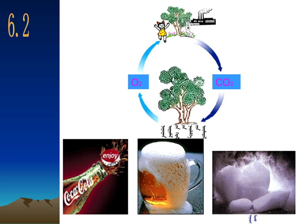 二氧化碳制取的研究 (2)_第1页