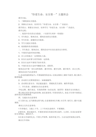 “珍爱生命，安全第一”主题班会