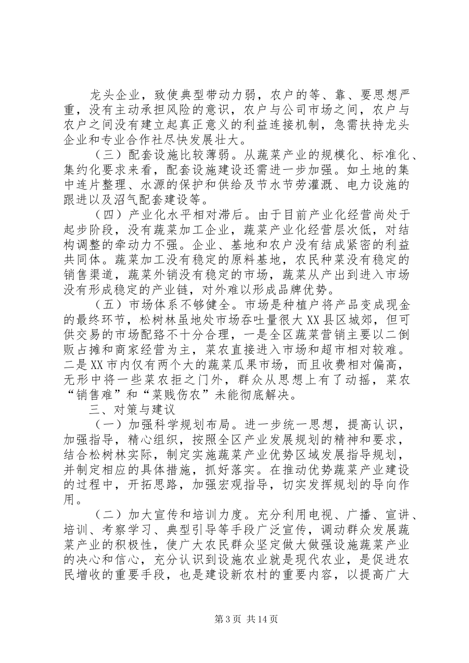 松树林蔬菜调研报告_第3页