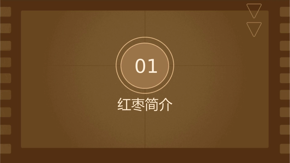 药食同源瑰宝红枣复习课件_第3页