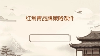 红常青品牌策略课件