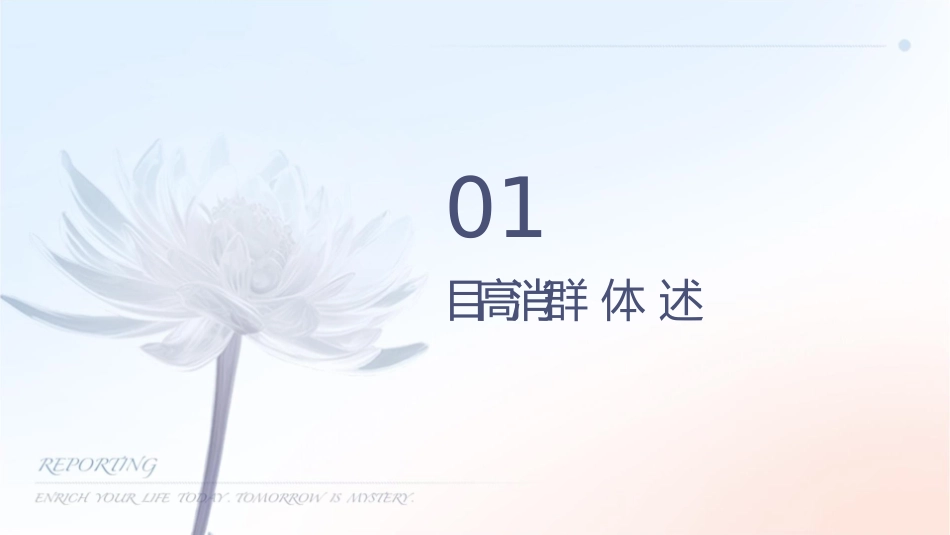 项目高消费群体分析及定位课件_第3页