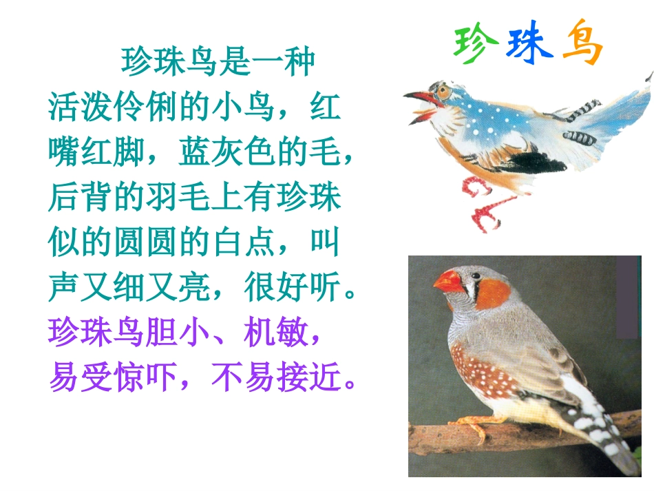 人教新课标版小学五上《珍珠鸟》课件_第1页