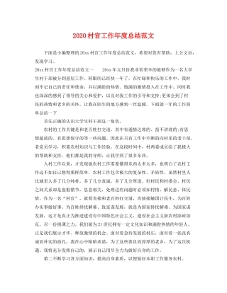 村官工作年度总结范文 