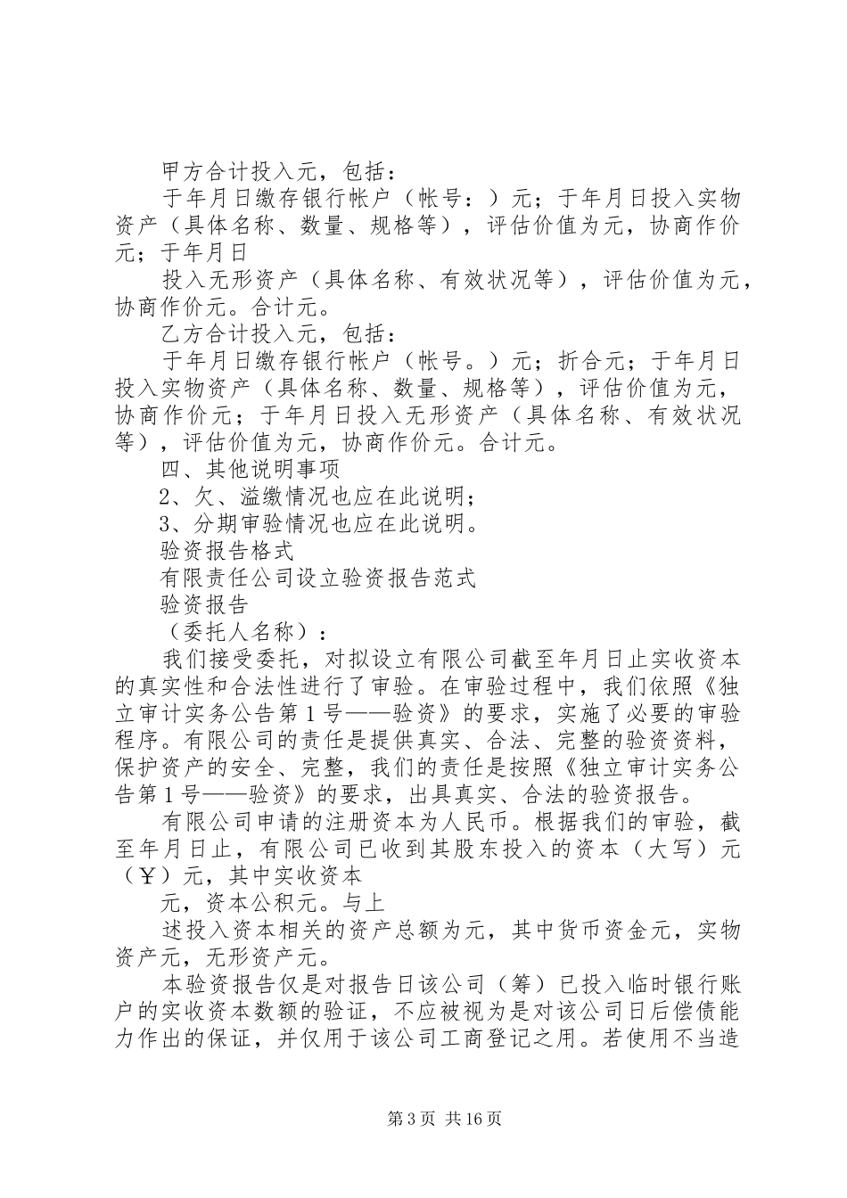 无形资产验资报告_第3页