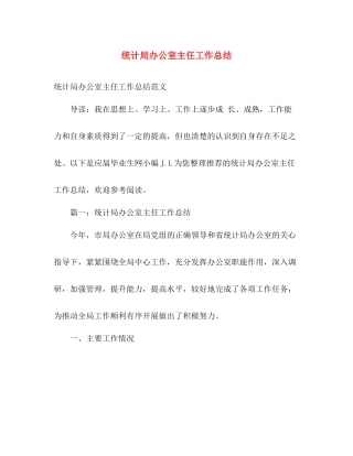统计局办公室主任工作总结 