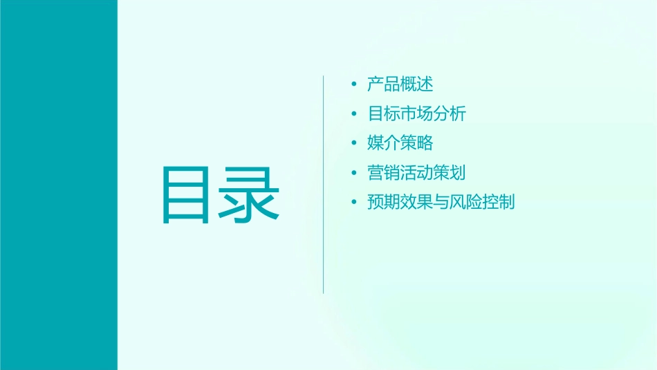 达仁堂维思得上市媒介策略课件_第2页
