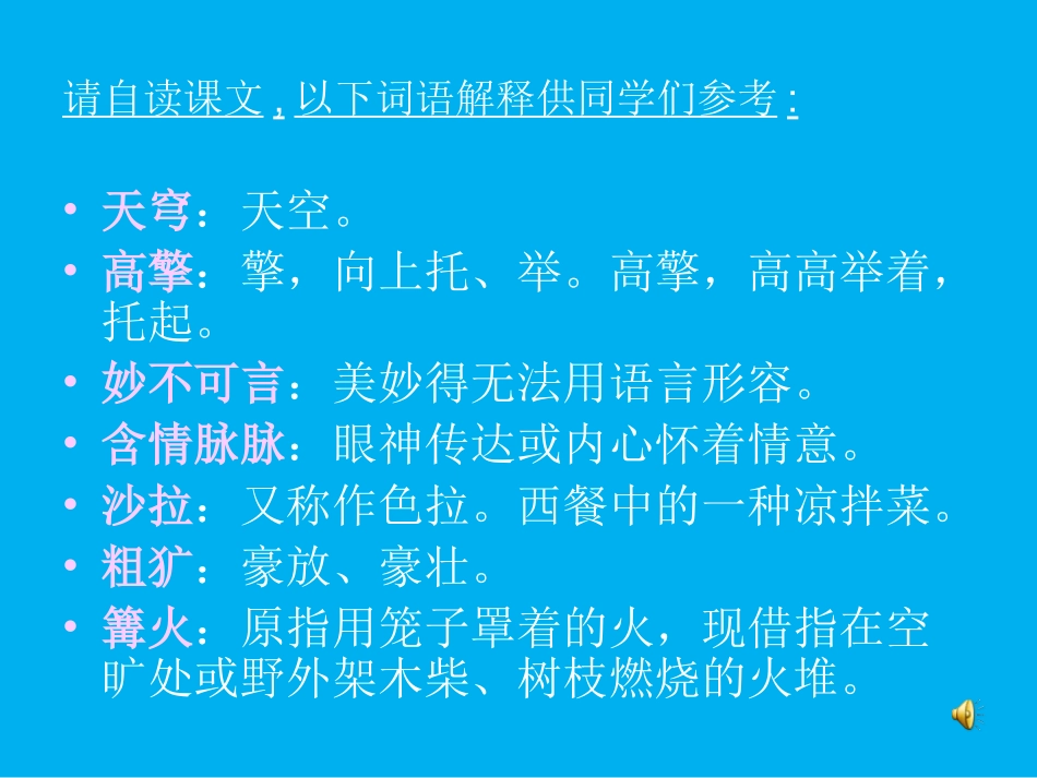 五年级语文下册第八组28彩色的非洲课件_第3页