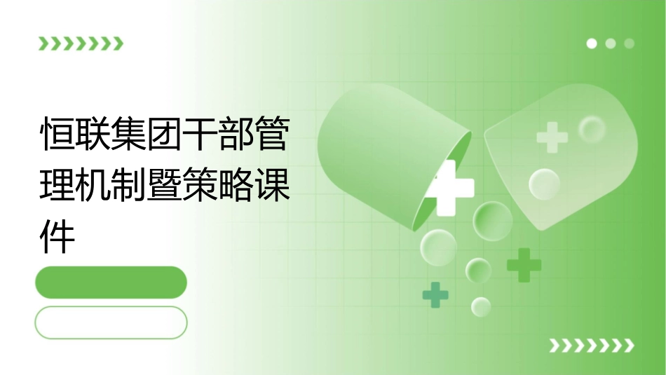 恒联集团干部管理机制暨策略课件_第1页