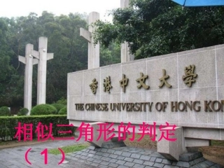 相似三角形的判定（1）
