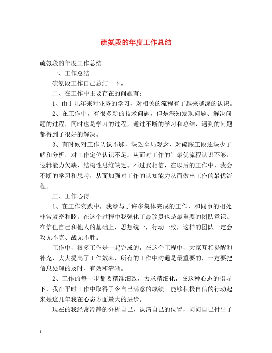 硫氨段的年度工作总结 _第1页