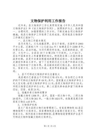文物保护利用工作报告