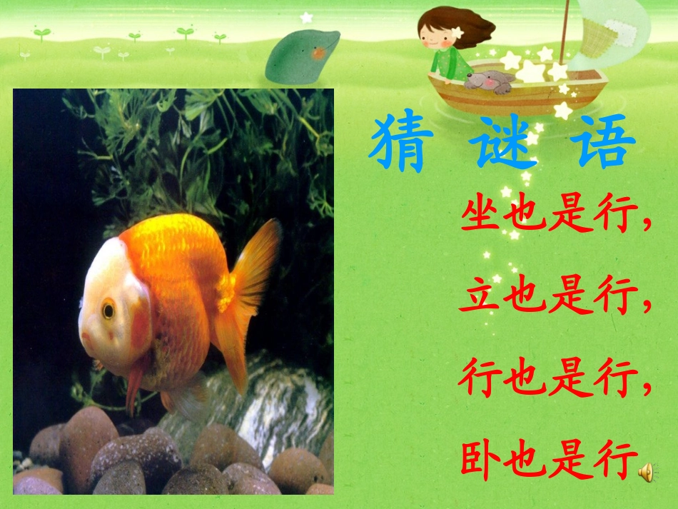 各种各样的鱼_第3页