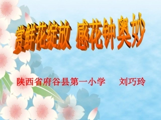 三年级13《花钟》课件 (2)