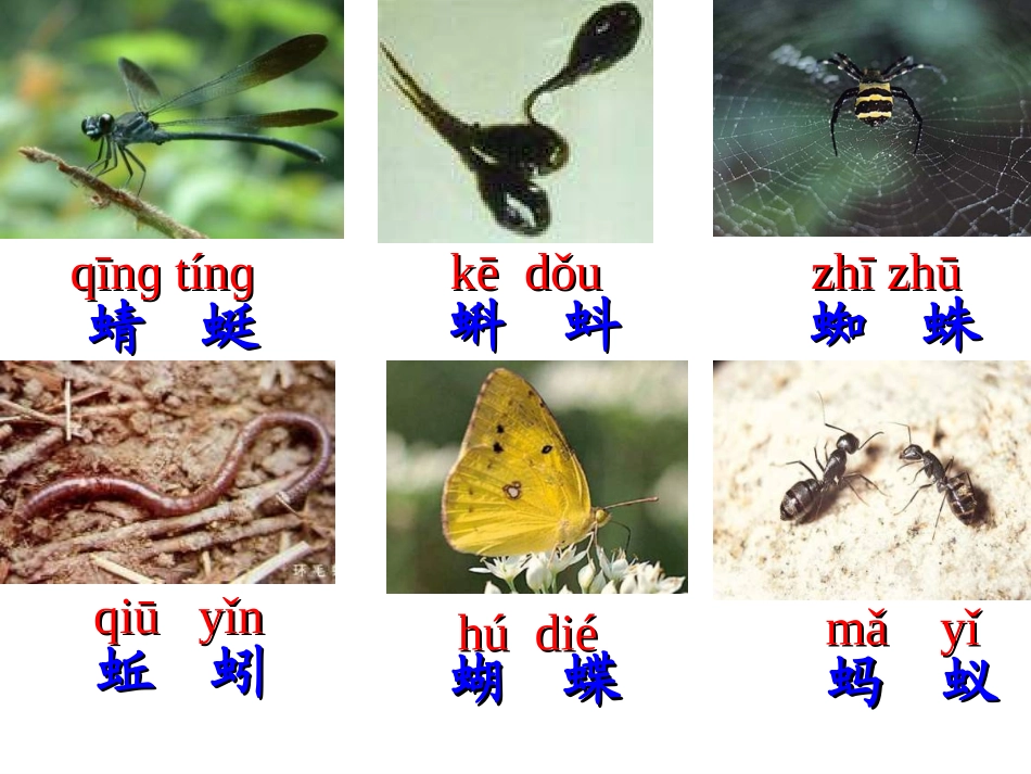 人教版一年级语文下册识字四教学_第3页