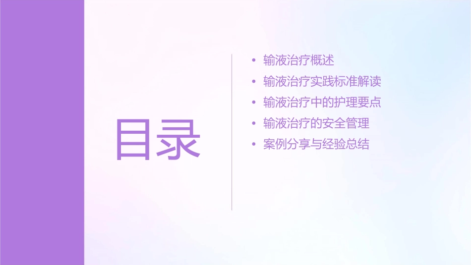 输液治疗实践标准解读护理课件_第2页