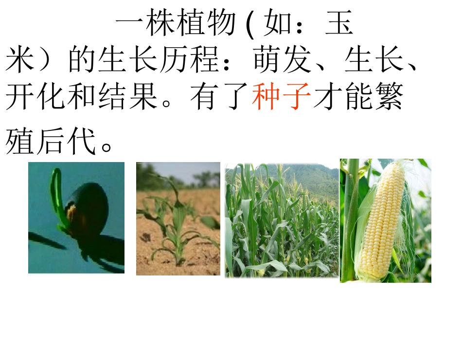 初二生物《植物的无性生殖》PPT课件_第2页