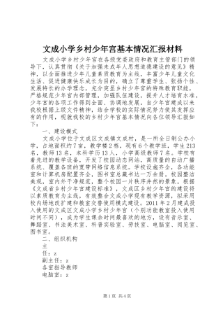 文成小学乡村少年宫基本情况汇报材料