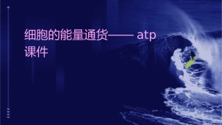 细胞的能量通货——ATP课件