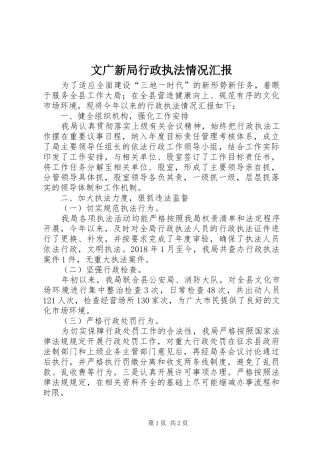 文广新局行政执法情况汇报