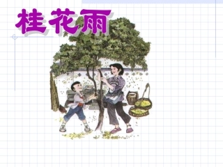 桂花雨_PPT课件