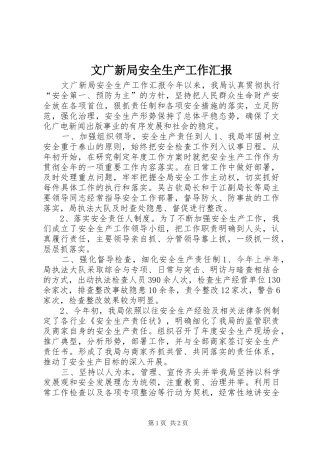 文广新局安全生产工作汇报