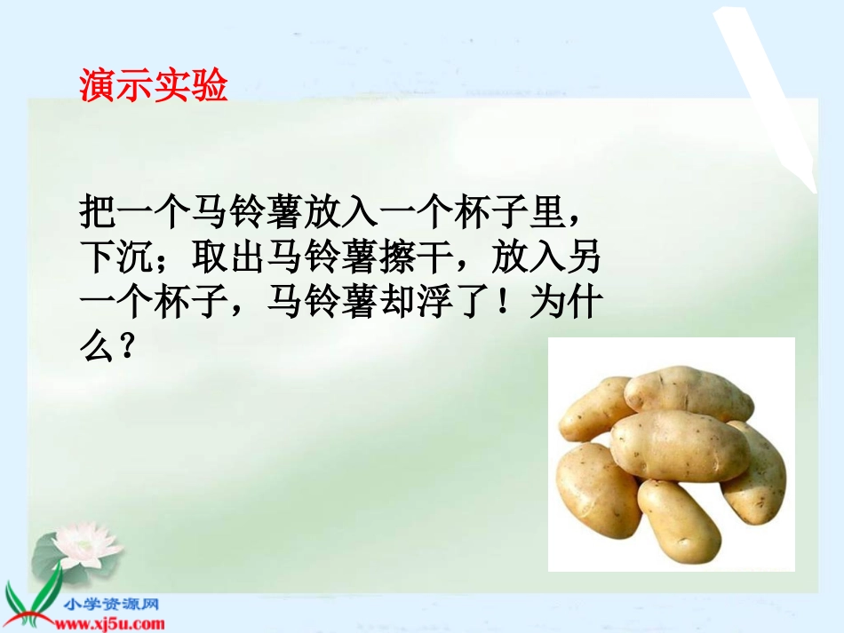 （教科版）五年级科学下册课件马铃薯在液体中的沉浮1_第2页