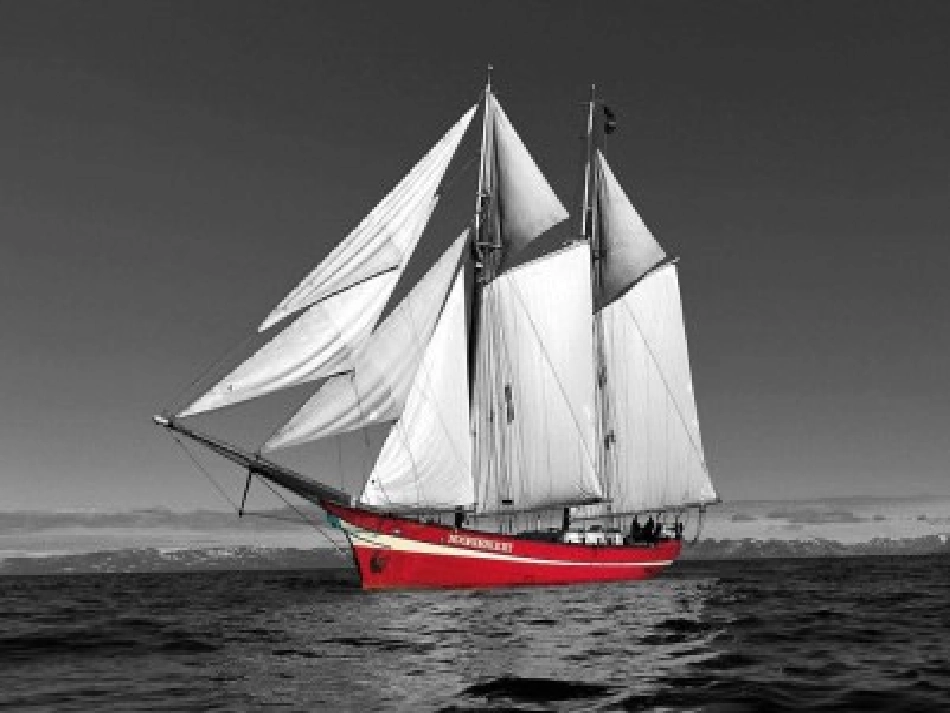 (语文S版)六年级语文上册课件_鲁滨孙造船__第2页