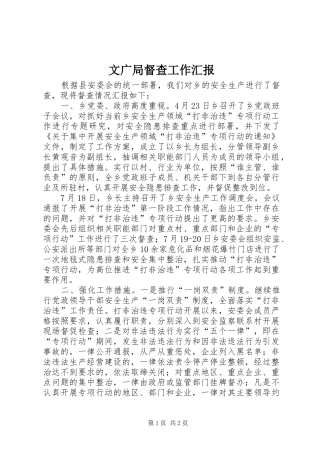 文广局督查工作汇报