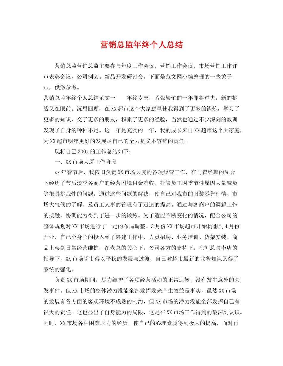 营销总监年终个人总结 _第1页