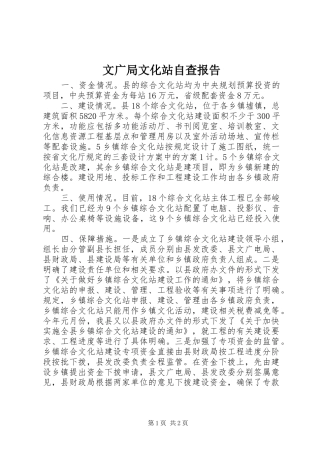 文广局文化站自查报告