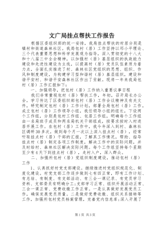 文广局挂点帮扶工作报告