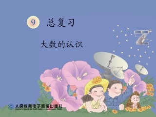 大数的认识 (2)
