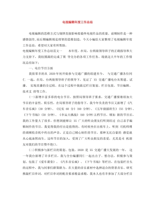 电视编辑年度工作总结 