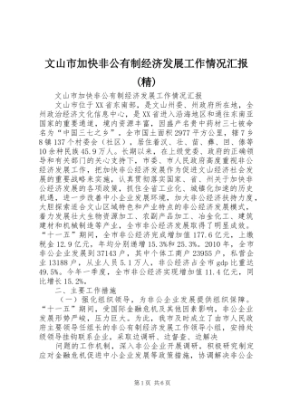 文山市加快非公有制经济发展工作情况汇报(精)