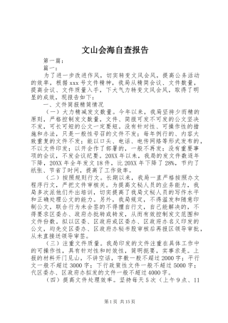 文山会海自查报告