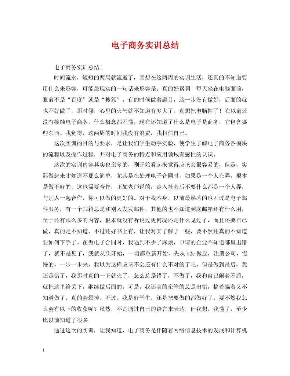 电子商务实训总结 _第1页
