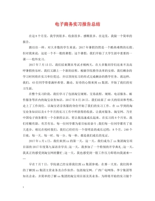 电子商务实习报告总结2 