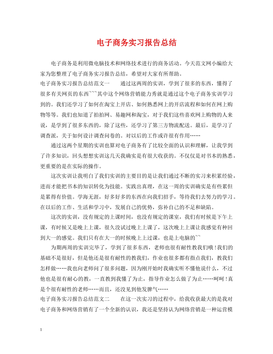 电子商务实习报告总结 _第1页