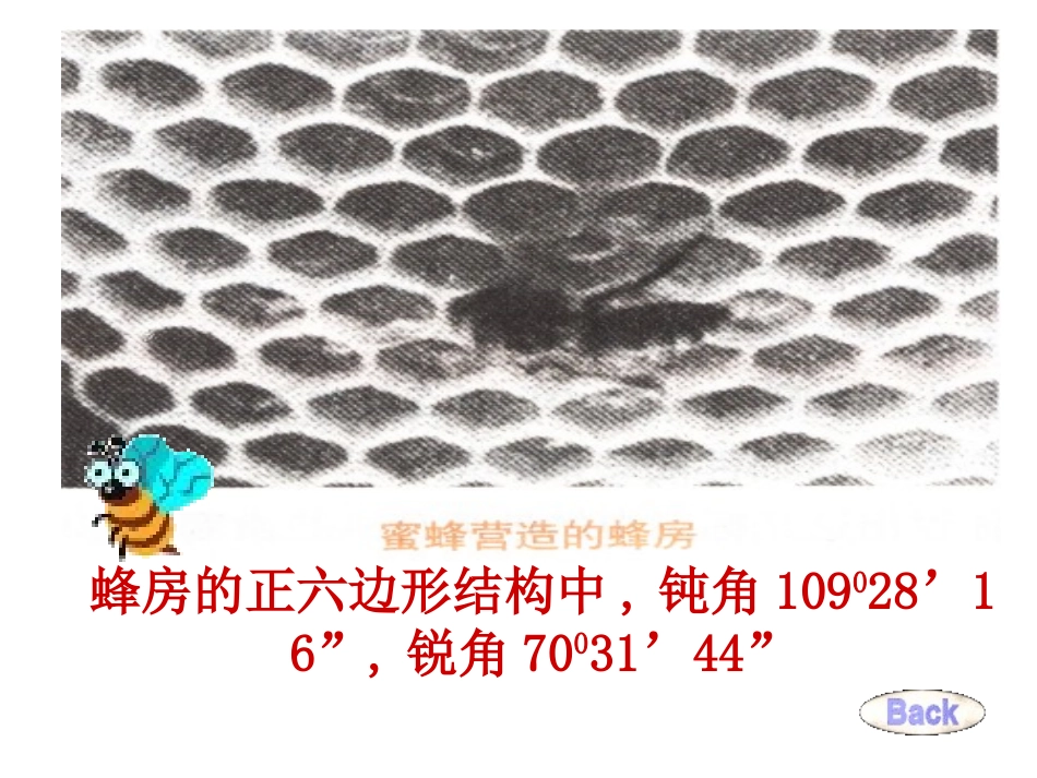 七年级数学第一章走进数学世界与数学交朋友_第3页