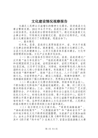 文化建设情况视察报告